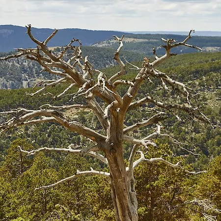 Guest house Isabel 3*