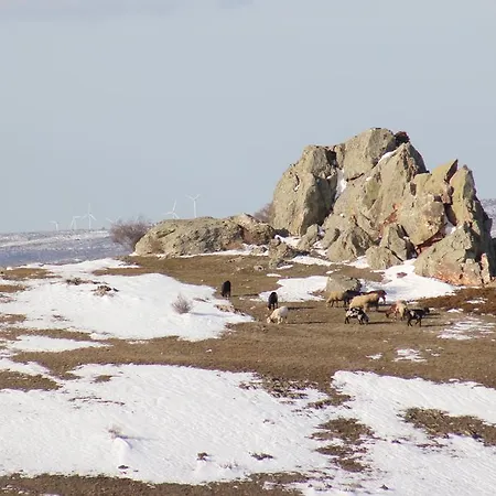 Guest house Isabel 3*