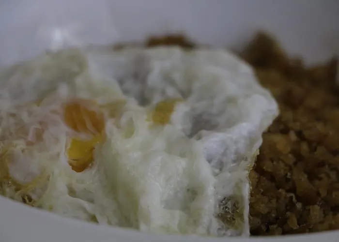 Isabel Pensionat Bronchales